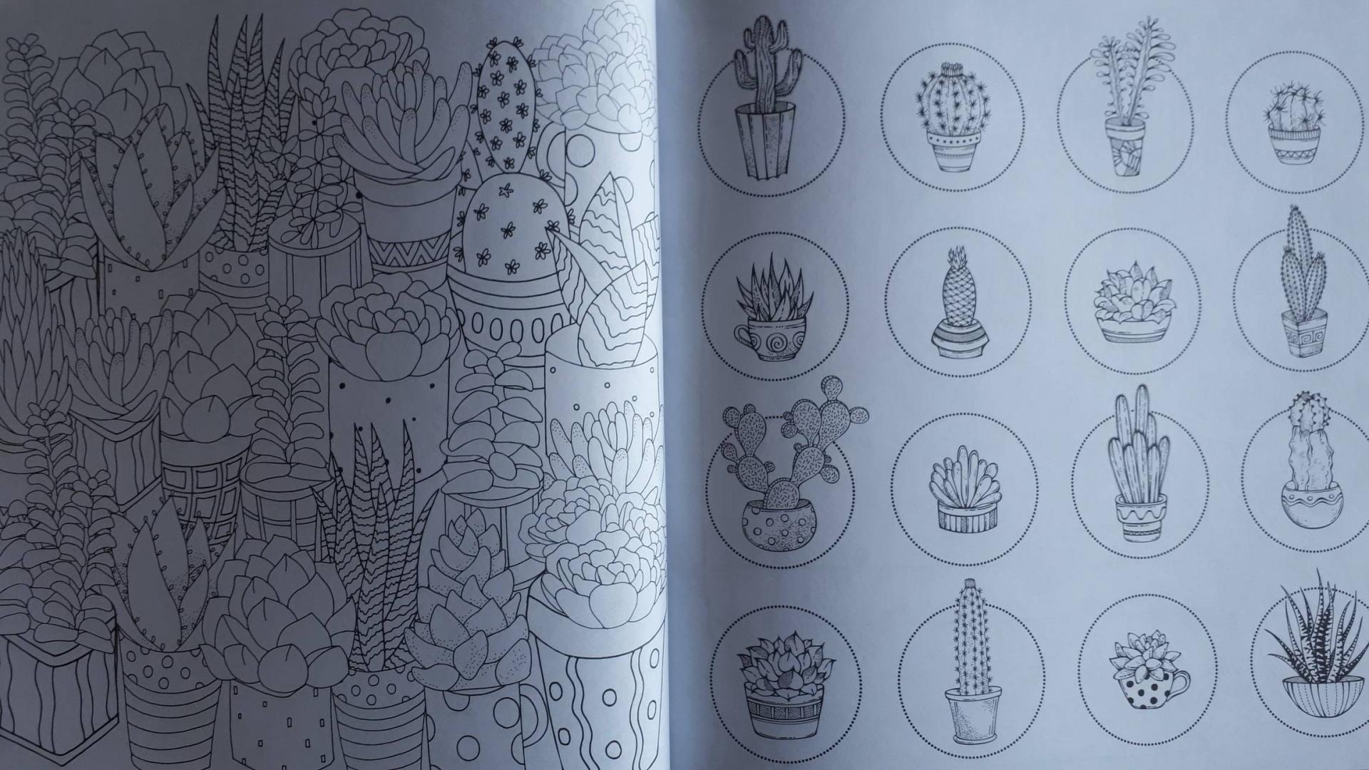 Иллюстрация 30 из 46 для Cactus party. Раскраска-оазис для творчества | Лабиринт - книги. Источник: Alenta  Valenta