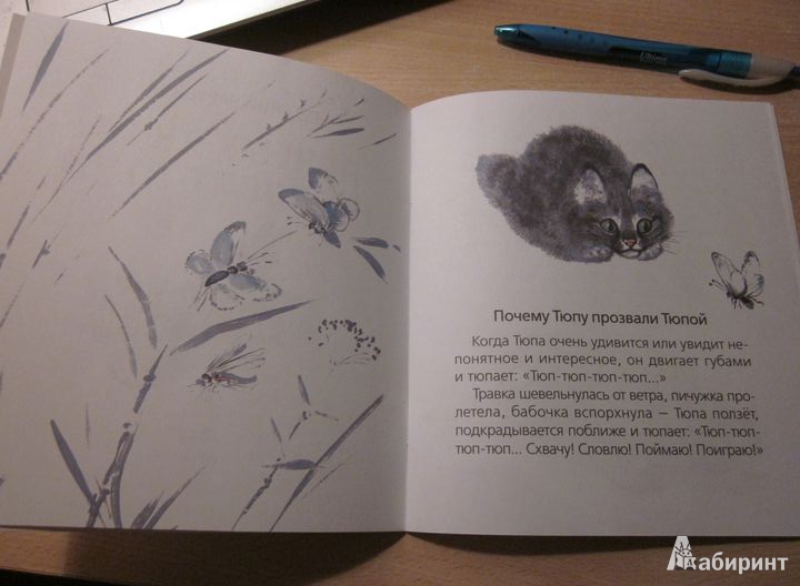 Иллюстрация 6 из 10 для Почему Тюпа не ловит птиц - Евгений Чарушин | Лабиринт - книги. Источник: Мeдвeдицa