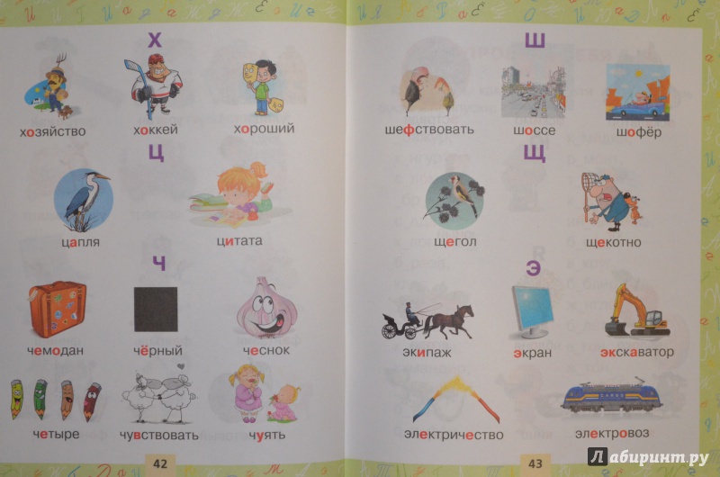 Иллюстрация 25 из 34 для Словарные слова в картинках для начальной школы | Лабиринт - книги. Источник: Муми-мама
