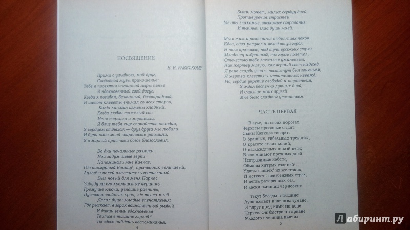 Иллюстрация 8 из 20 для Поэмы - Александр Пушкин | Лабиринт - книги. Источник: Alenta  Valenta