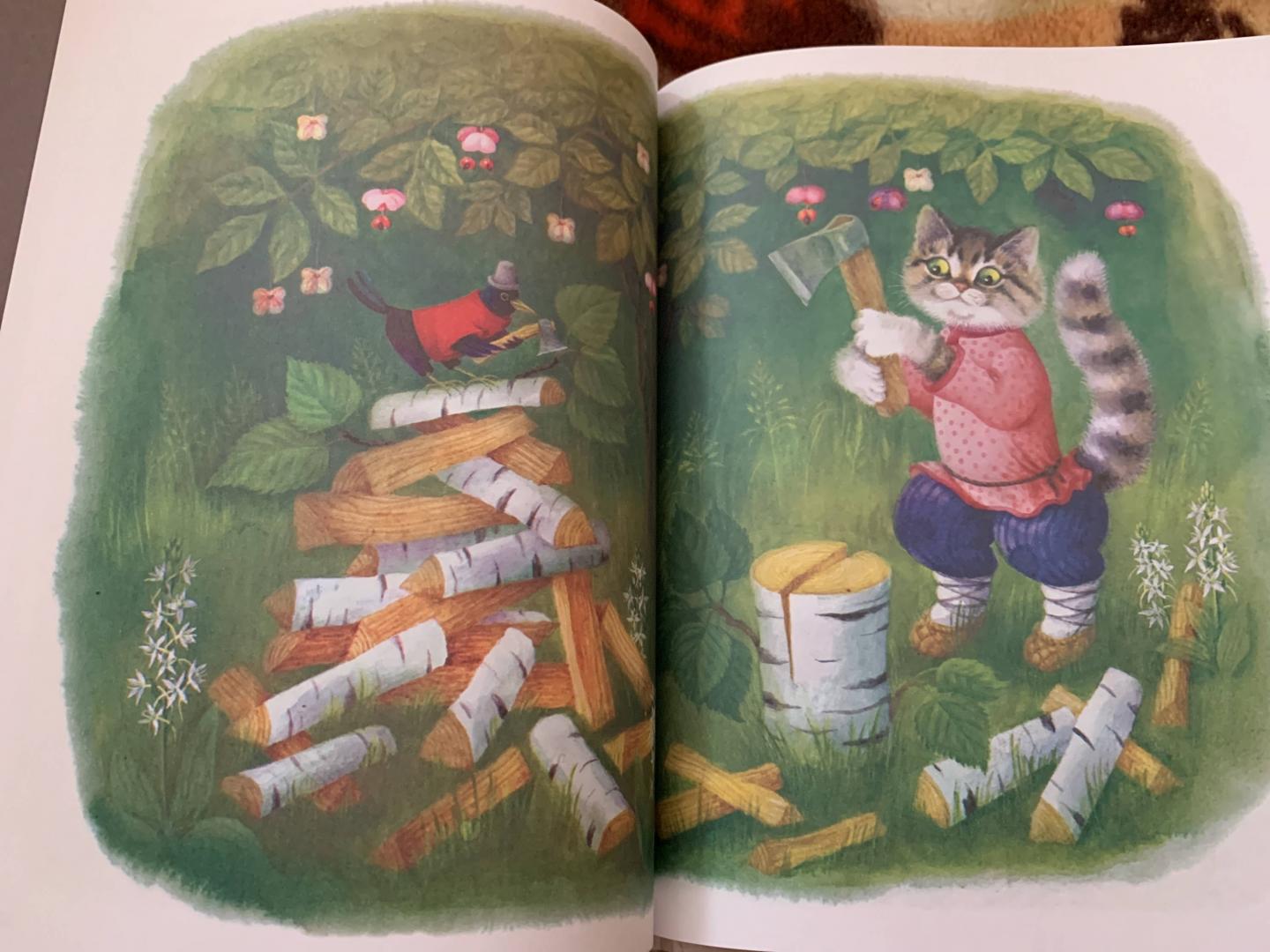 Иллюстрация 67 из 78 для Снегурушка и лиса | Лабиринт - книги. Источник: dzzz