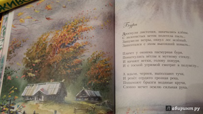 Иллюстрация 19 из 51 для Стихи детям - Сергей Есенин | Лабиринт - книги. Источник: Faina