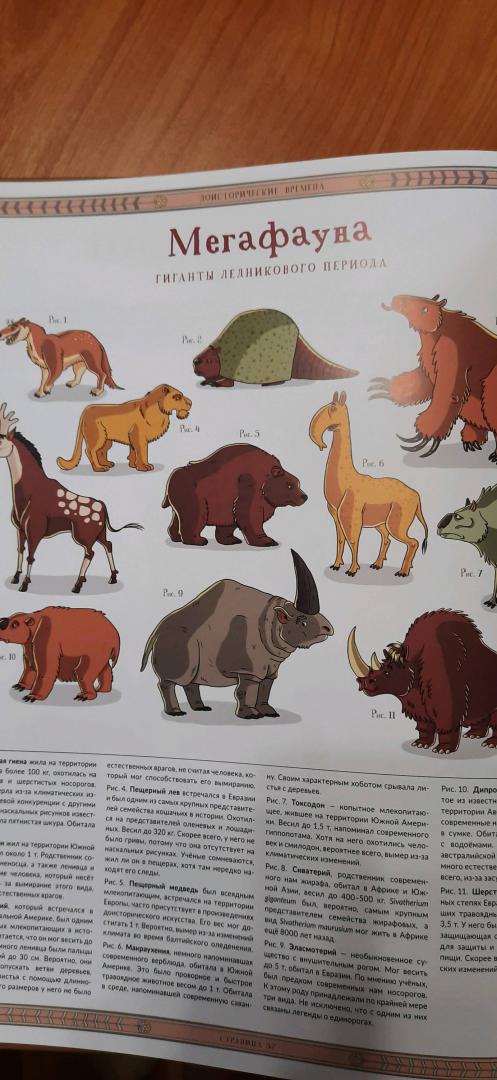Иллюстрация 104 из 112 для Атлас исчезнувших животных - Гладыш, Вайс, Лячек | Лабиринт - книги. Источник: Alenywka007
