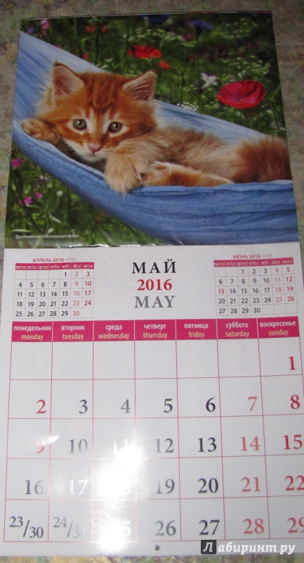 Иллюстрация 9 из 13 для Календарь настенный на 2016 год "Котята" (70605) | Лабиринт - сувениры. Источник: V  Marisha