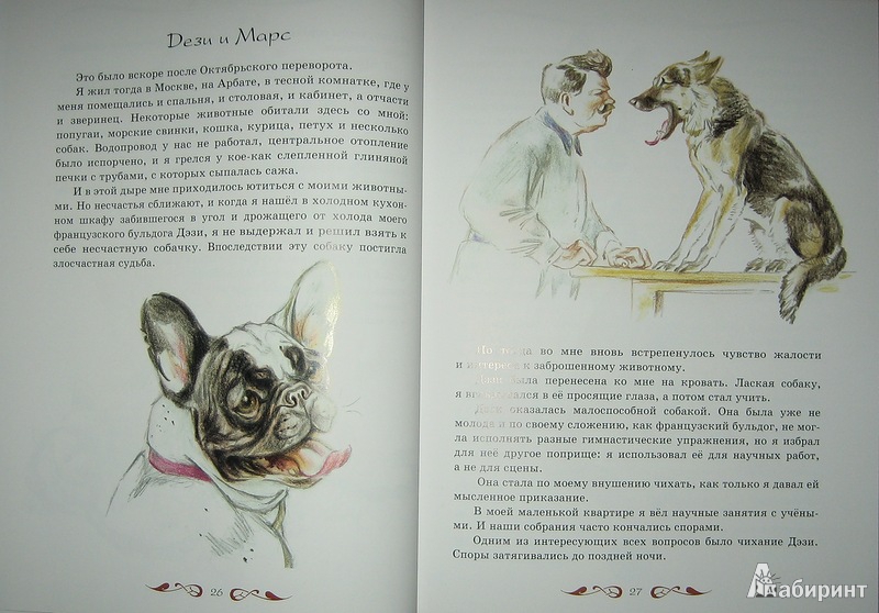 Иллюстрация 23 из 31 для Мои звери - Владимир Дуров | Лабиринт - книги. Источник: Трухина Ирина