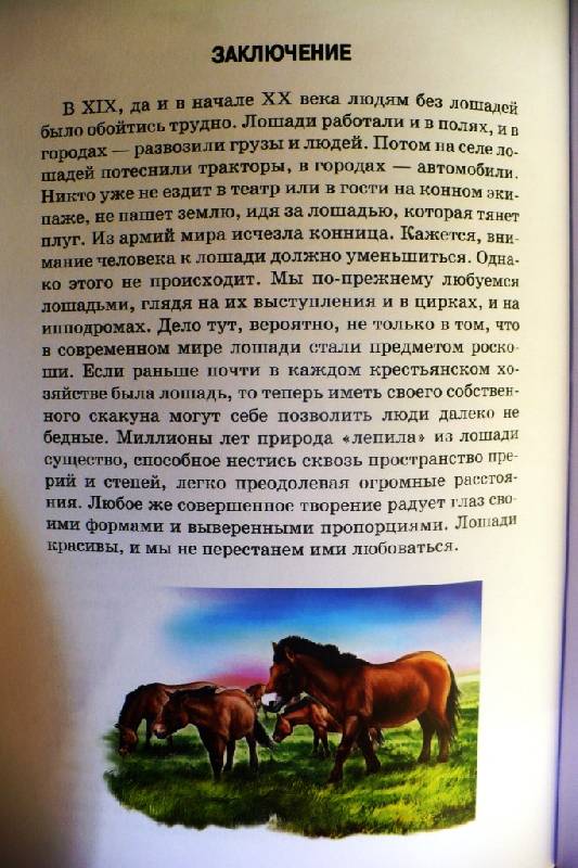 Иллюстрация 22 из 29 для Лошади - Сергей Афонькин | Лабиринт - книги. Источник: -  Юлия -