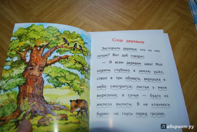 Иллюстрация 5 из 13 для Спор деревьев - Константин Ушинский | Лабиринт - книги. Источник: Журавлёва  Анна
