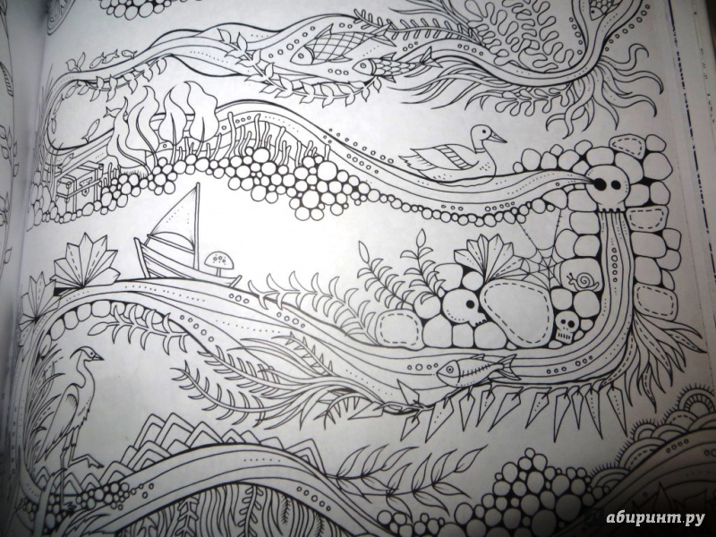 Иллюстрация 40 из 199 для Зачарованный лес. Книга для творчества и вдохновения - Джоанна Бэсфорд | Лабиринт - книги. Источник: Ko-ren