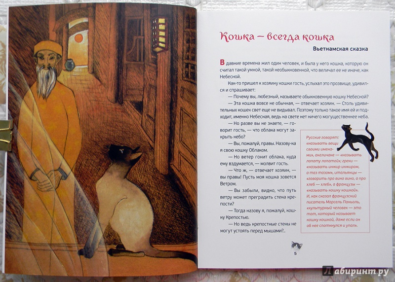 Иллюстрация 50 из 63 для Кошачьи сказки - Анна Строева | Лабиринт - книги. Источник: Раскова  Юлия