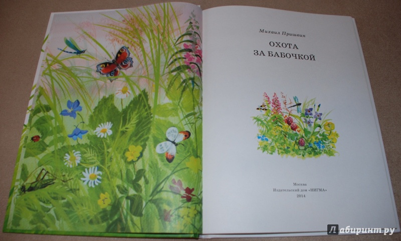 Иллюстрация 20 из 78 для Охота за бабочкой - Михаил Пришвин | Лабиринт - книги. Источник: Книжный кот