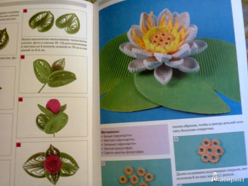 Иллюстрация 17 из 26 для Цветы в технике квиллинг - Клавдия Моргунова | Лабиринт - книги. Источник: G
