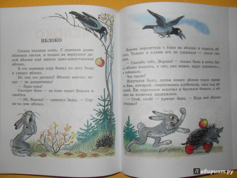 Иллюстрация 17 из 31 для Большая книга сказок и стихов в рисунках В. Сутеева | Лабиринт - книги. Источник: knigolyub