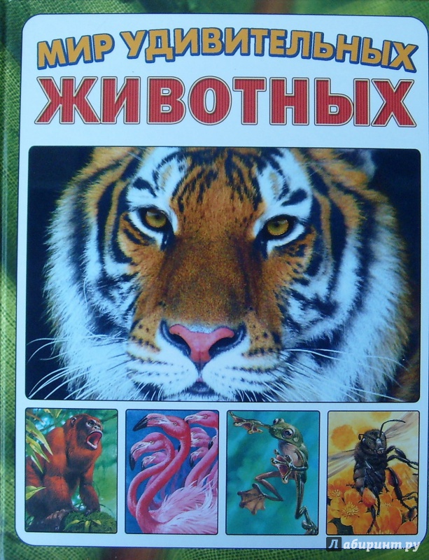 Иллюстрация 40 из 54 для Мир удивительных животных - Стоунхауз, Бертрам | Лабиринт - книги. Источник: Александр Сколдин