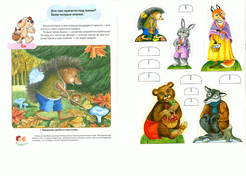 Иллюстрация 2 из 9 для Кто в лесу живет. Первые уроки 3+ - Софья Буланова | Лабиринт - книги. Источник: РИВА