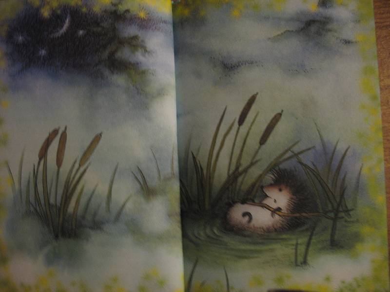 Иллюстрация 4 из 19 для Ежик в тумане. Сказки - Сергей Козлов | Лабиринт - книги. Источник: scarlett