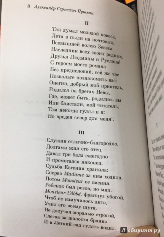 Иллюстрация 37 из 37 для Евгений Онегин - Александр Пушкин | Лабиринт - книги. Источник: Lina