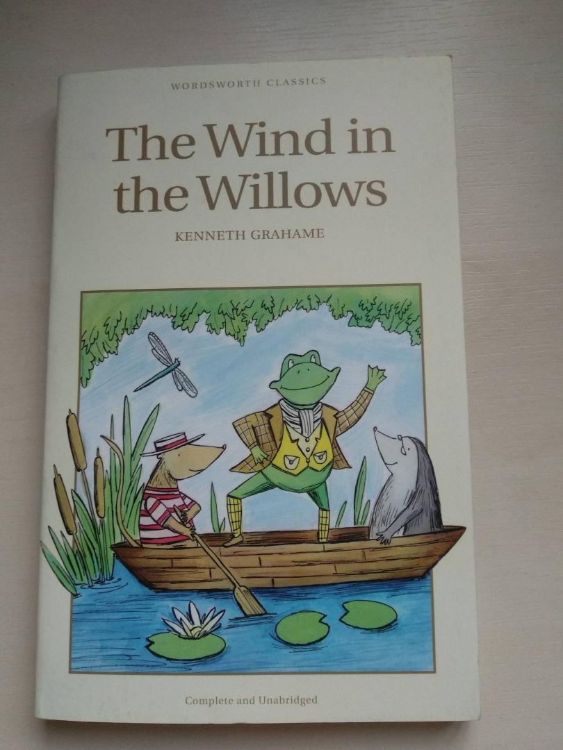 Иллюстрация 21 из 39 для The Wind in the Willows - Kenneth Grahame | Лабиринт - книги. Источник: Alice1399