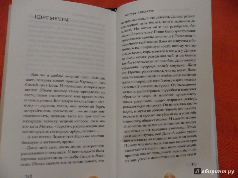 Иллюстрация 7 из 15 для Кенгуру в пиджаке - Марианна Гончарова | Лабиринт - книги. Источник: sleits