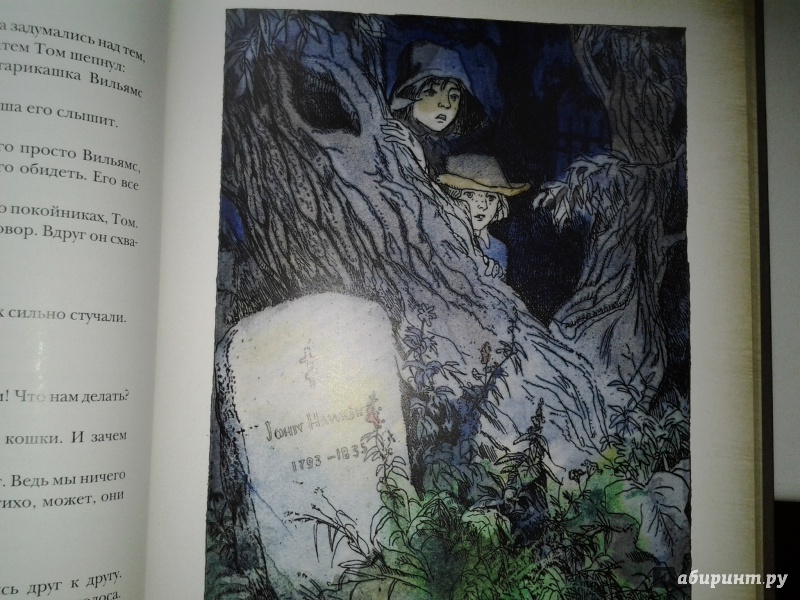 Иллюстрация 18 из 37 для Приключения Тома Сойера - Марк Твен | Лабиринт - книги. Источник: Olga