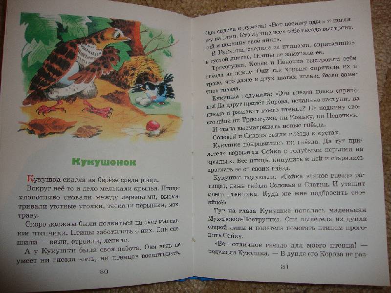 Иллюстрация 19 из 20 для Лесные домишки - Виталий Бианки | Лабиринт - книги. Источник: Семён