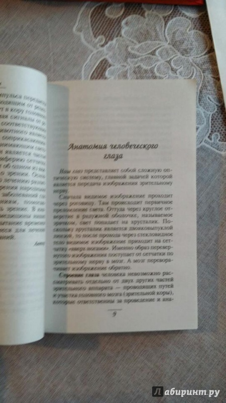 Иллюстрация 2 из 6 для Болезни глаз - Генрих Ужегов | Лабиринт - книги. Источник: swallow_ann