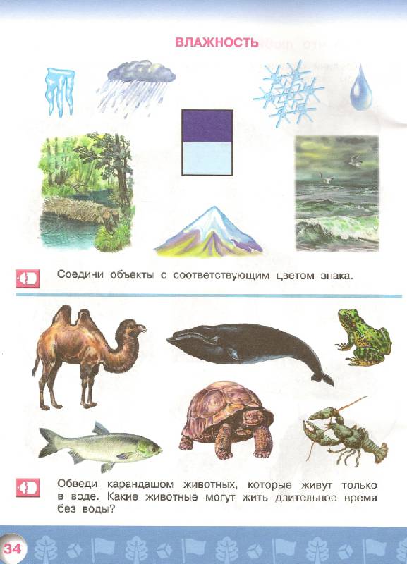 Иллюстрация 20 из 20 для Узнаю мир. Развивающая книга для детей 6-8 лет. ФГОС - Гризик, Лаврова | Лабиринт - книги. Источник: e_ka77