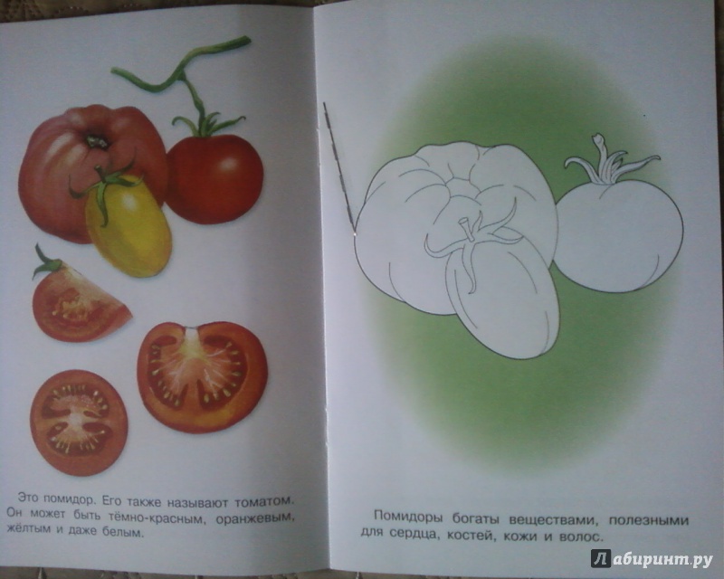 Иллюстрация 4 из 19 для Раскраска "Овощи" | Лабиринт - книги. Источник: Родионова  Надежда