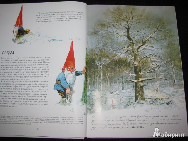 Иллюстрация 37 из 63 для Энциклопедия гномов - Вил Хёйген | Лабиринт - книги. Источник: Nemertona