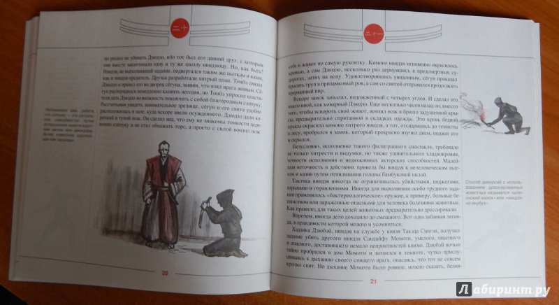 Иллюстрация 12 из 12 для Легенды ниндзя - Николай Рудаков | Лабиринт - книги. Источник: komer45