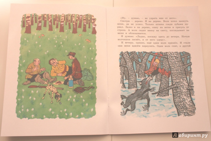 Иллюстрация 4 из 44 для Три охотника - Николай Носов | Лабиринт - книги. Источник: Анастасия