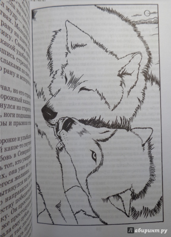 Иллюстрация 4 из 20 для Белое безмолвие - Джек Лондон | Лабиринт - книги. Источник: Ерошевских Катя