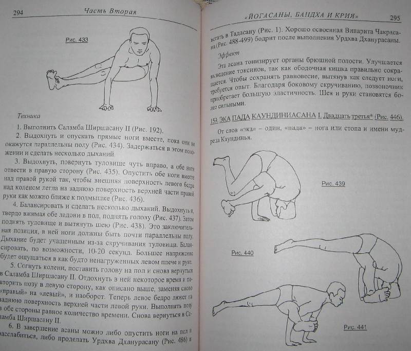 Иллюстрация 9 из 9 для Прояснение йоги. (Йога Дипика) - Айенгар Беллур Кришнамачар Сундараджа | Лабиринт - книги. Источник: Читательница