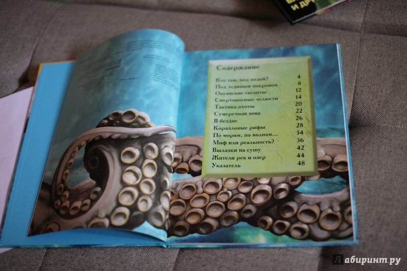 Иллюстрация 5 из 32 для Акулы и другие обитатели подводного мира - Дэниел Гилпин | Лабиринт - книги. Источник: Сорокина  Оленька Игоревна