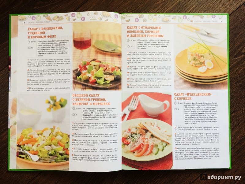 Иллюстрация 10 из 16 для 100 лучших рецептов салатов на каждый день | Лабиринт - книги. Источник: Lr