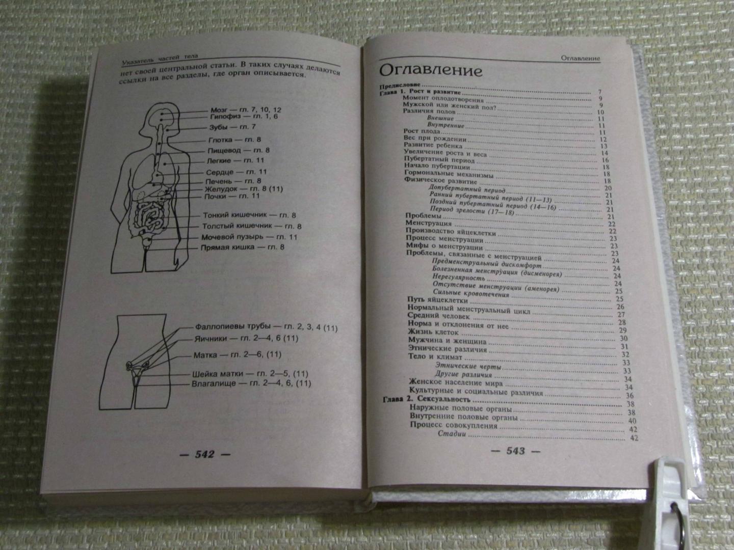 Иллюстрация 36 из 59 для Организм женщины | Лабиринт - книги. Источник: leo tolstoy