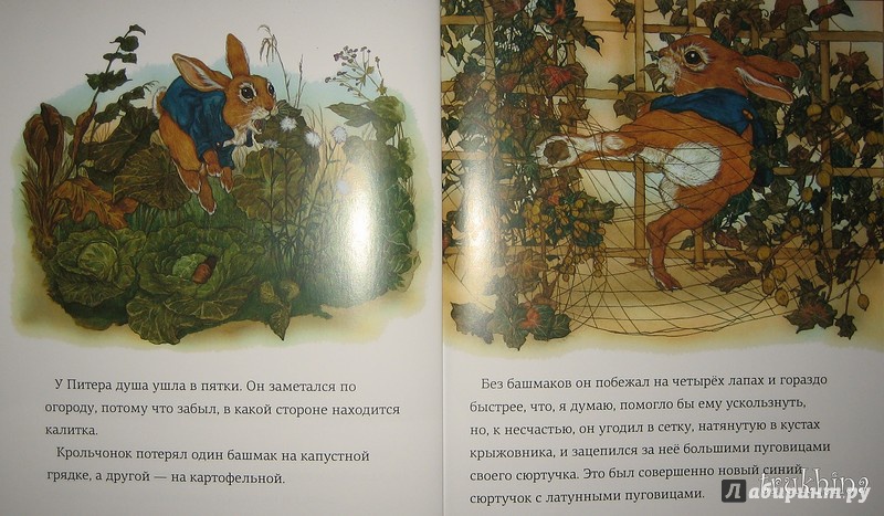 Иллюстрация 17 из 31 для Сказка про Кролика Питера - Беатрис Поттер | Лабиринт - книги. Источник: Трухина Ирина