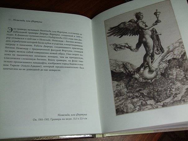 Иллюстрация 16 из 43 для Дюрер - Джулия Бартрум | Лабиринт - книги. Источник: Капочка