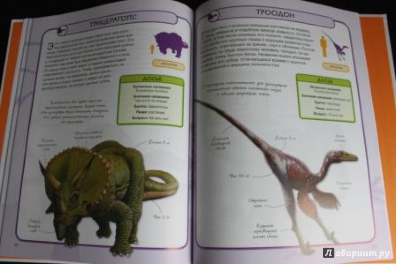 Иллюстрация 6 из 29 для Динозавры - Стив Паркер | Лабиринт - книги. Источник: Фролова  Екатерина