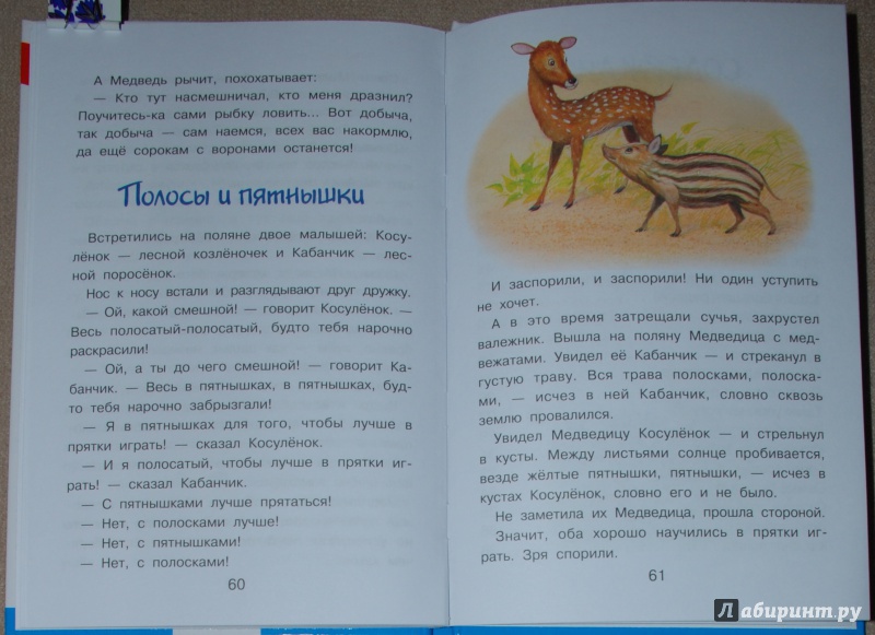 Иллюстрация 41 из 48 для Рассказы и сказки о природе - Эдуард Шим | Лабиринт - книги. Источник: Книжный кот