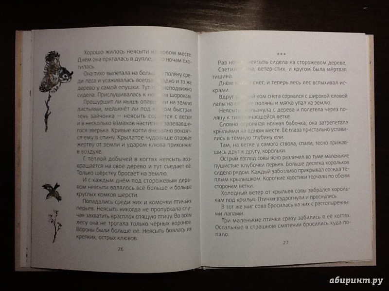 Иллюстрация 42 из 45 для Лесные разведчики - Виталий Бианки | Лабиринт - книги. Источник: Оноприенко  Олег Валерьевич