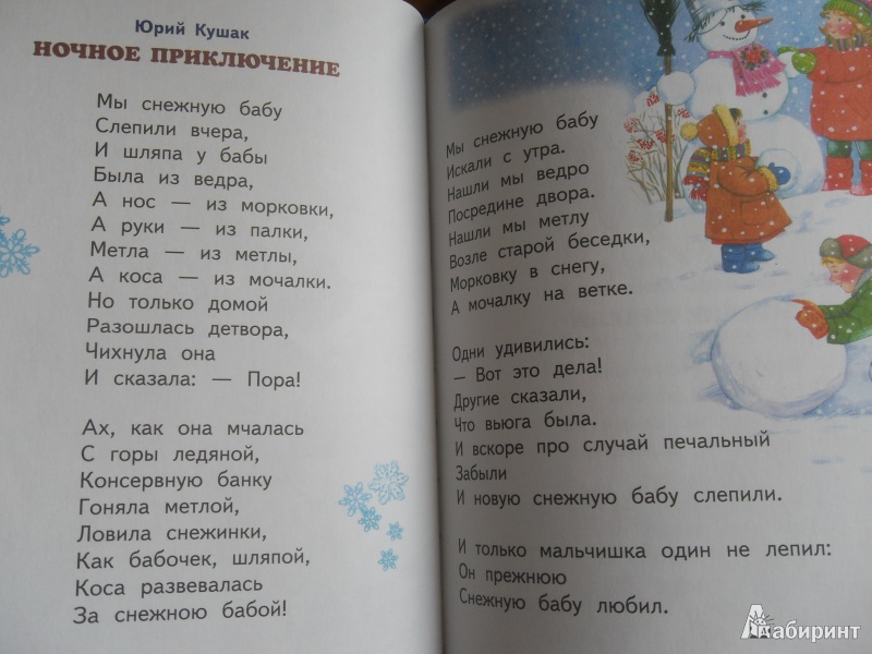 Иллюстрация 18 из 27 для Пришла зима-проказница | Лабиринт - книги. Источник: knigolyub