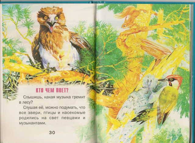 Иллюстрация 13 из 23 для Лесные сказки - Виталий Бианки | Лабиринт - книги. Источник: _Елена_