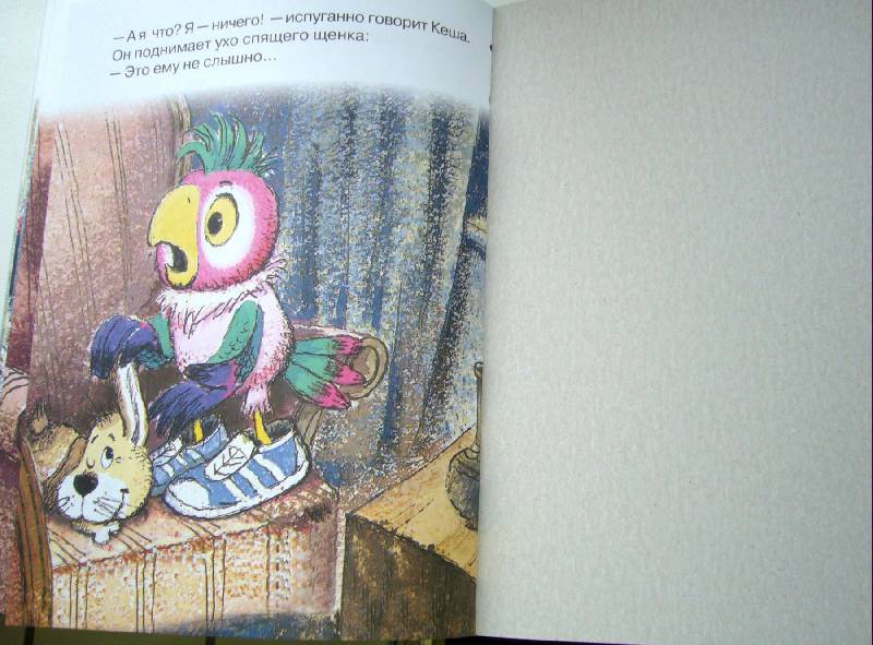 Иллюстрация 21 из 30 для Возвращение блудного попугая - Курляндский, Караваев | Лабиринт - книги. Источник: NATALEX