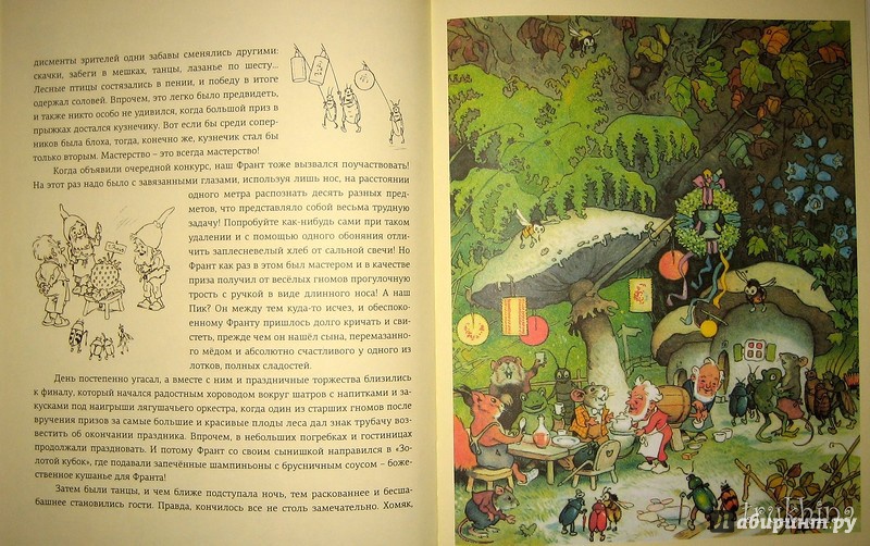 Иллюстрация 54 из 78 для В стране гномов - Эрих Хайнеманн | Лабиринт - книги. Источник: Трухина Ирина