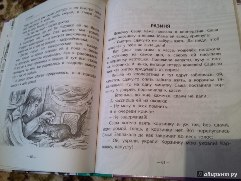 Иллюстрация 16 из 49 для Разиня и другие рассказы - Борис Житков | Лабиринт - книги. Источник: З.  Татьяна