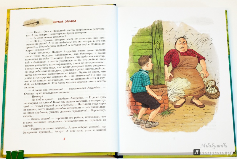 Иллюстрация 28 из 48 для Андрейка и лодырь Ромашка - Юрий Третьяков | Лабиринт - книги. Источник: Букландия
