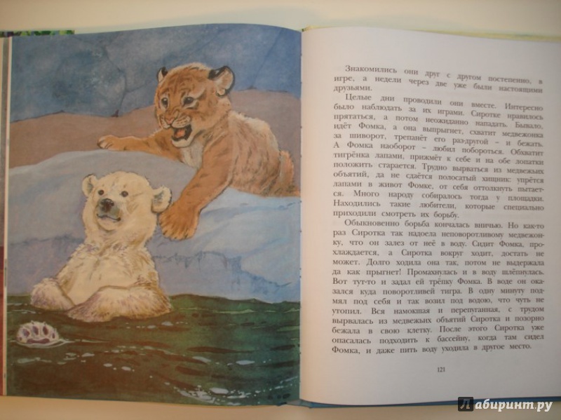 Иллюстрация 14 из 43 для Фомка - белый медвежонок - Вера Чаплина | Лабиринт - книги. Источник: Сорокина  Лариса