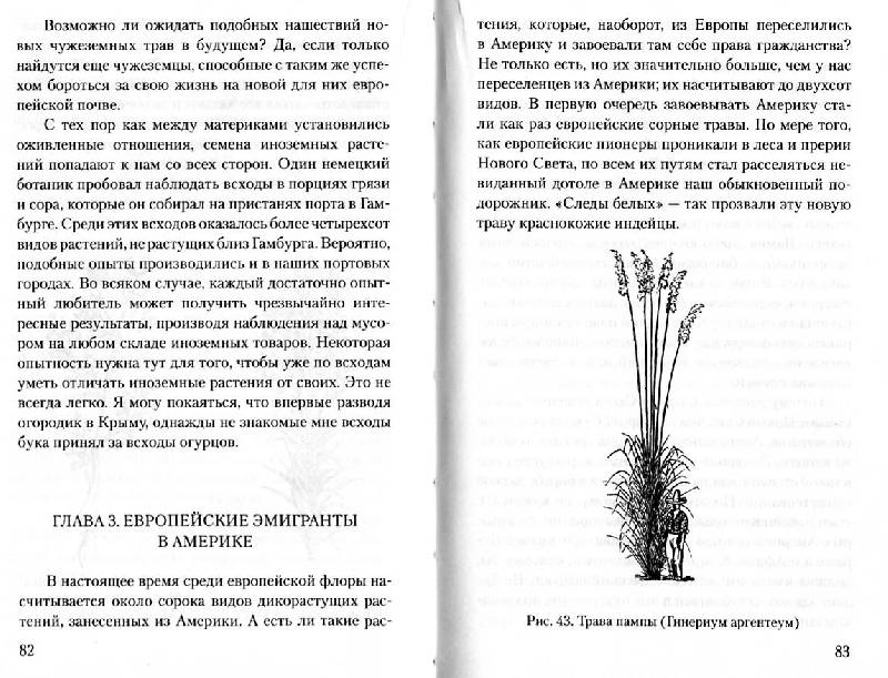 Иллюстрация 18 из 25 для Занимательная ботаника - Александр Цингер | Лабиринт - книги. Источник: Росинка