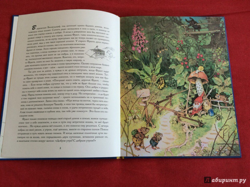 Иллюстрация 59 из 78 для В стране гномов - Эрих Хайнеманн | Лабиринт - книги. Источник: Сан Санна