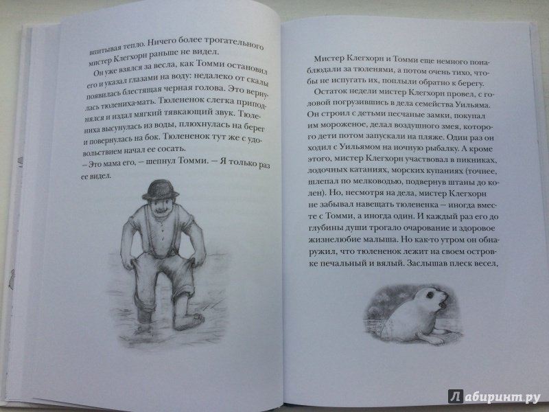Иллюстрация 8 из 35 для Мистер Клегхорн и его тюлененок - Джудит Керр | Лабиринт - книги. Источник: ИрМур